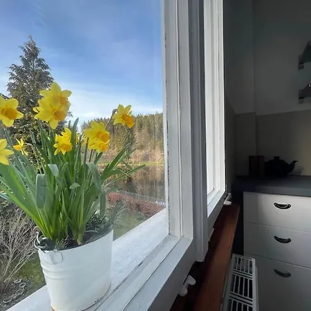 Ungueltig Apartman